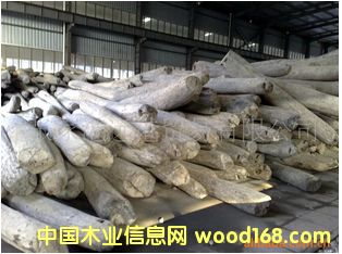 ����(y��ng)���黨�� Խ����̴ԭľ ��� ľ�ĵ�Ԕ��(x��)��B