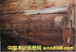 ����(y��ng)�z���(sh��) �t���� ��ľԭľ ��� RGAS/ HEK