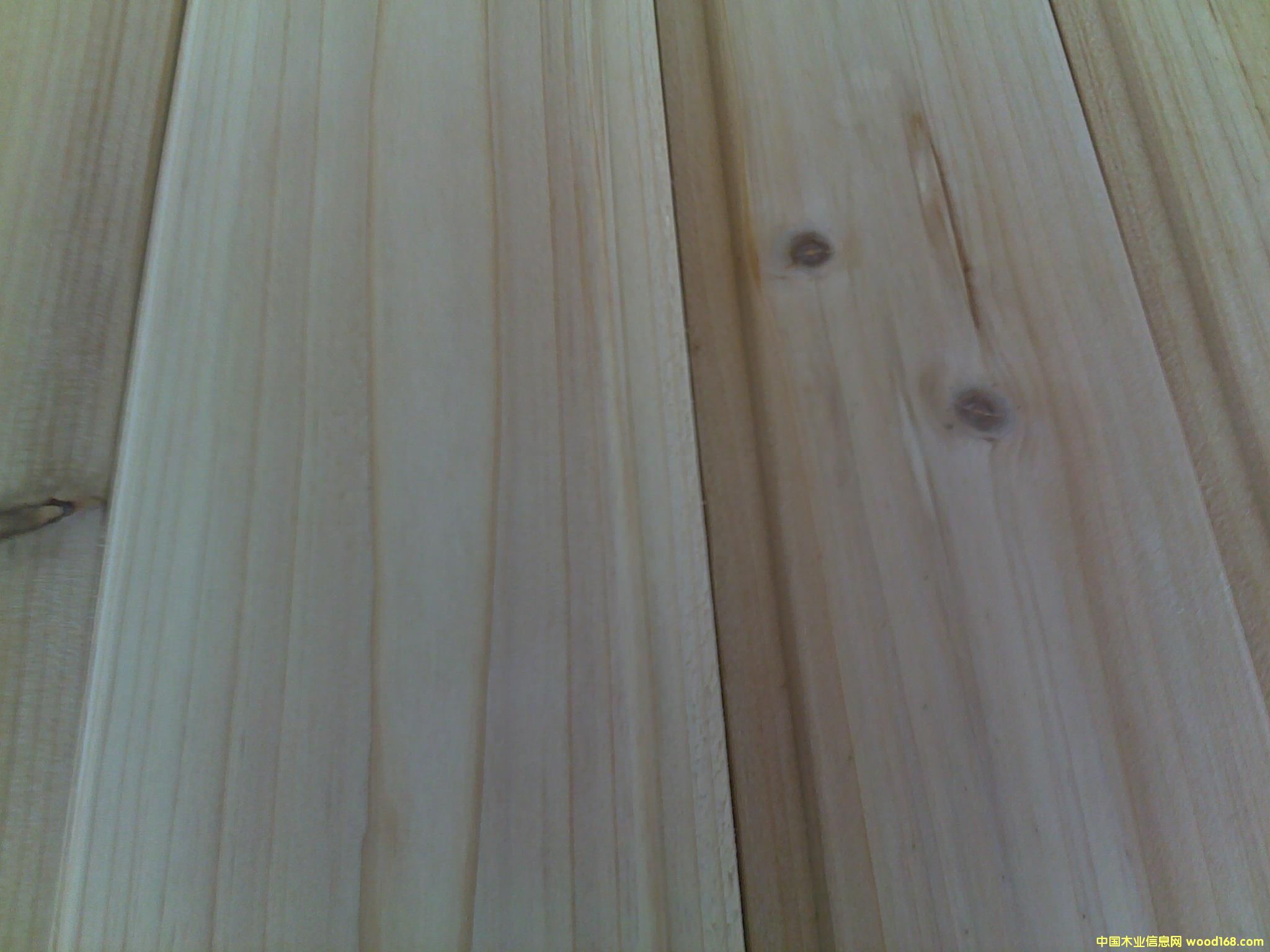 ��ɼ?j��)��ڰ壨��Ŀ��? title=