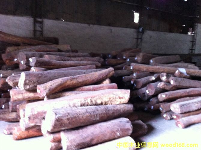 Խ�ϼtľ��Ԕ����B