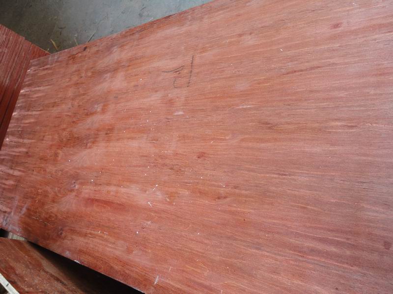 ����ģ���Ԕ����B