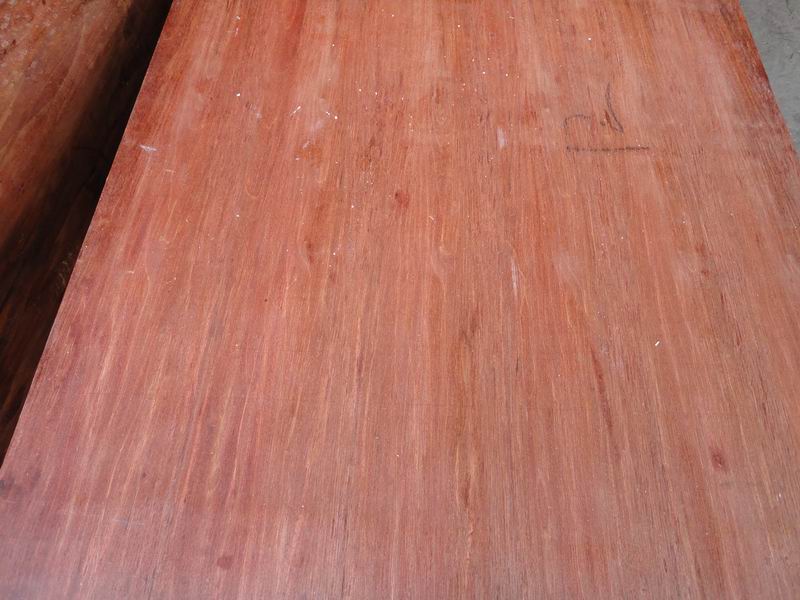 ����ģ���Ԕ����B