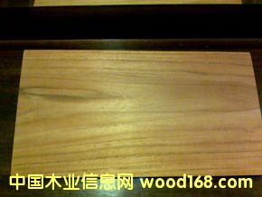 ��˹�_(d��)�����ľԭľ��Ԕ��(x��)��B