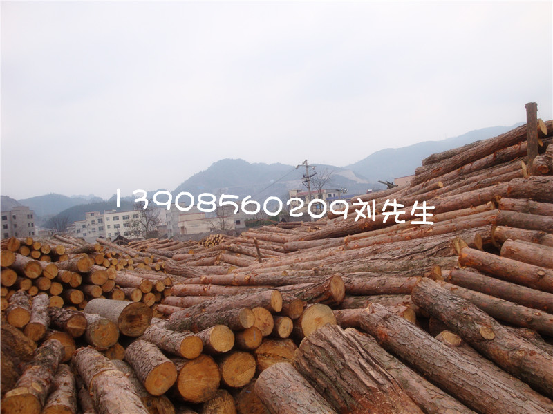 �V�Ó�ľ��ԭľ��Ԕ����B