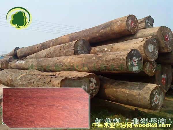 ���޼t����ľ��Ԕ����B