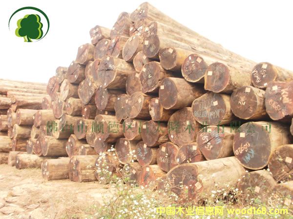 ���}������r�� ӆ���@��Ҏ(gu��)��13690415561��Ԕ����B