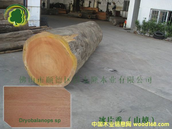 ӆ����(y��u)�|(zh��)ɽ�� ɽ������r��13690415561��Ԕ����B