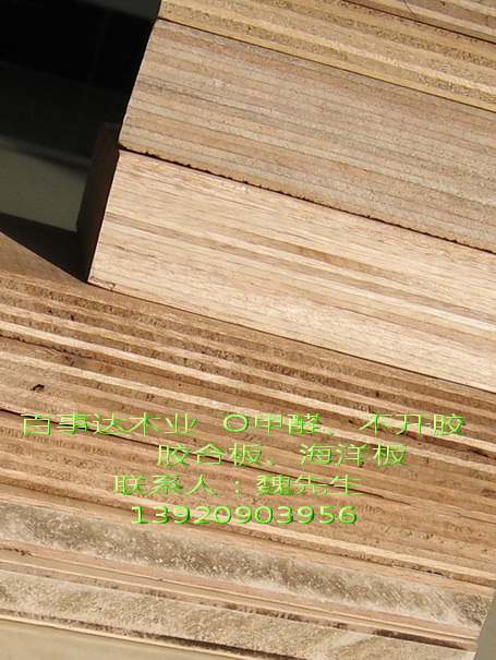 plywood��Ԕ����B