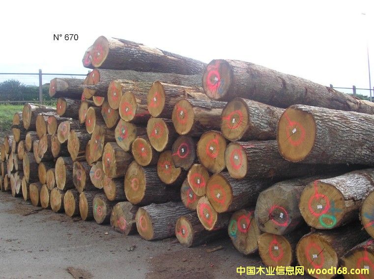 ����ԭľ��Ԕ��(x��)��B