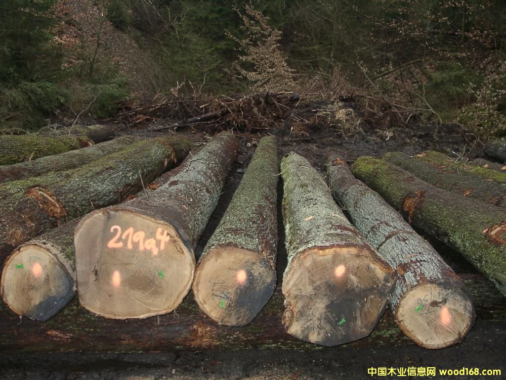 ������ԭľ��Ԕ��(x��)��B