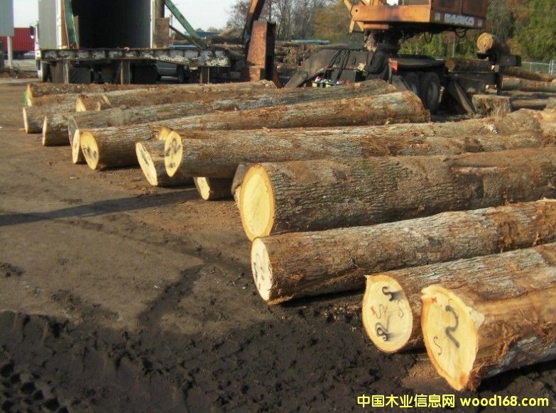 ��������ԭľ��Ԕ��(x��)��B