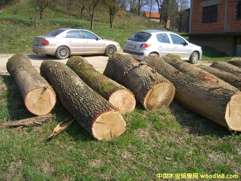 �����r����ԭľ��Ԕ��(x��)��B