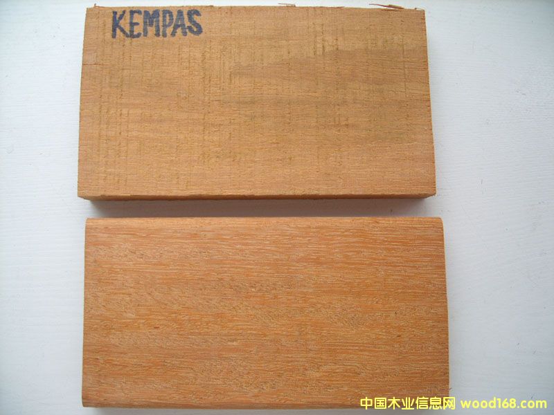 �ʰͶ����𲻓Q����Ԕ��(x��)��B