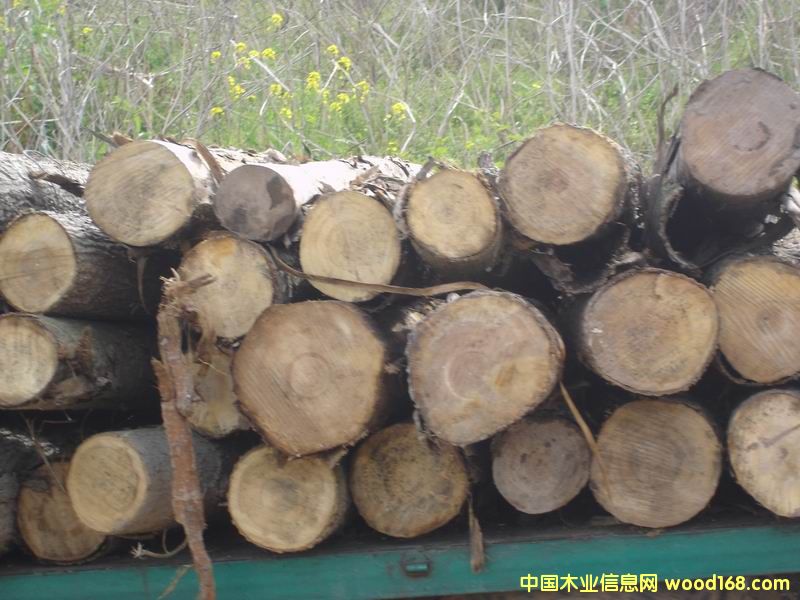 ԭľ��Ԕ��(x��)��B