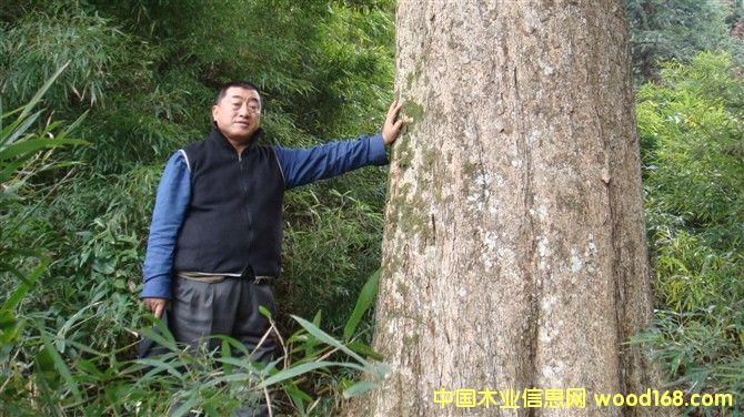 ��z�ľ-4��Ԕ��(x��)��B