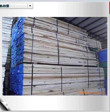 Yellow Poplar(�S�����ח����Z��鱣���ľ����Ԕ��(x��)��B