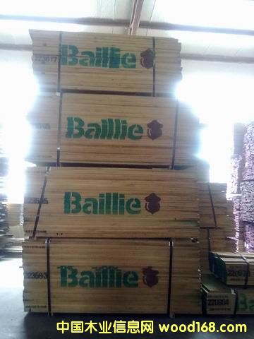 ���������Ԕ��(x��)��B