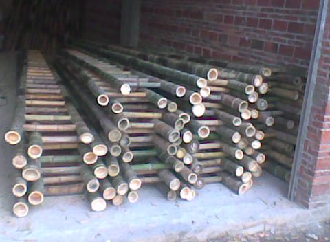 ���ݵ�Ԕ��(x��)��B