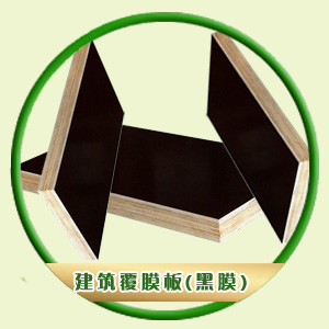 �ꌒľ�I(y��)��Ԕ��(x��)��B