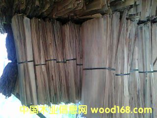 �ΰ��Ԕ��(x��)��B