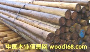 ��ɼ��Ԕ��(x��)��B