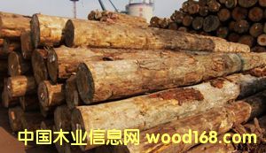 �����mݗ���ɵ�Ԕ��(x��)��B