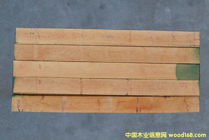 ����피���Ԕ��(x��)��B