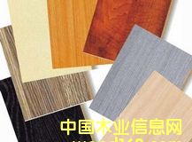 �������B(t��i)���Ԕ����B