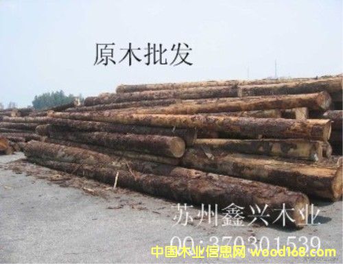 ȺӢľ�I(y��)��Ԕ����B