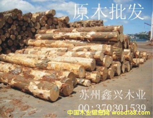 ȺӢľ�I(y��)��Ԕ����B