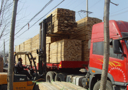 ��ľ��Ԕ����B