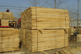 �״�ľ��Ԕ����B