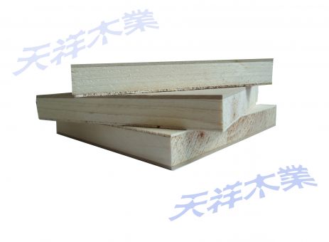 ��(x��)ľ�������T(m��n)�װ��Ԕ��(x��)��B