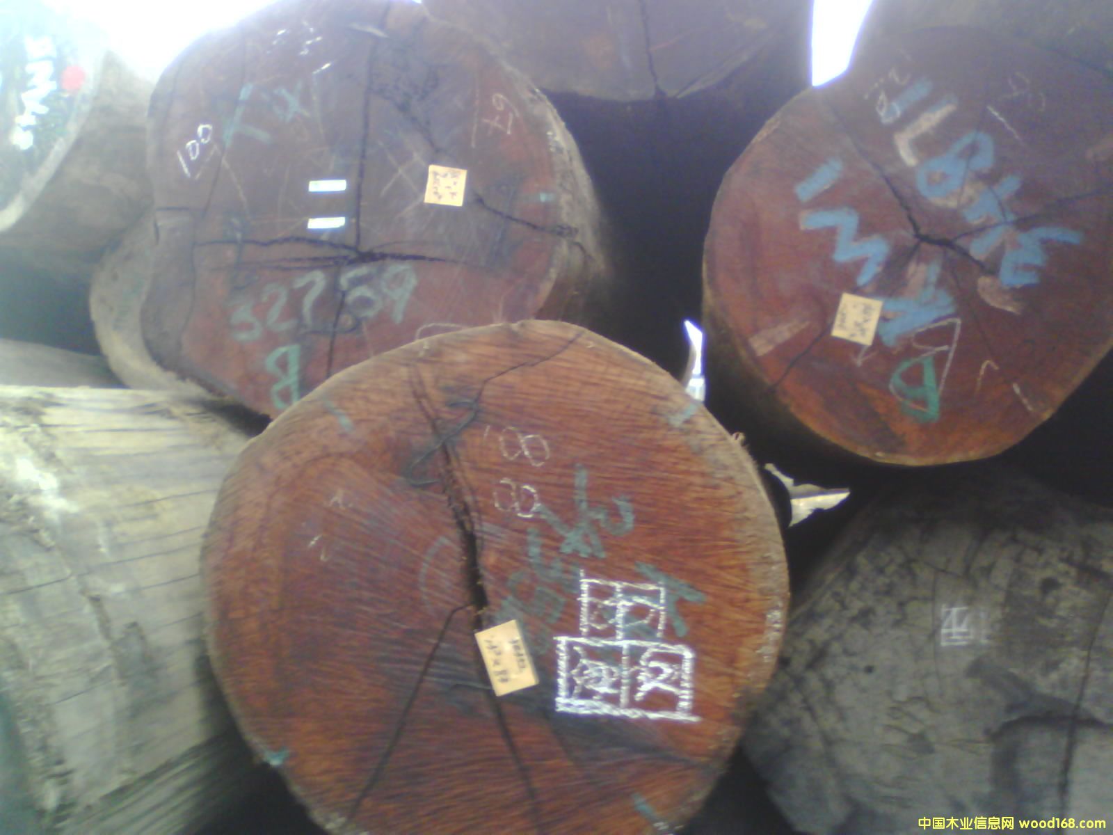 ���}���Ԕ��(x��)��B