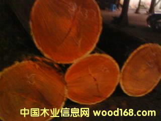 �ʹP��Ԕ��(x��)��B