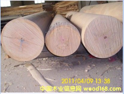 ��(y��u)�|(zh��)�z��ľ�ΰ��Ԕ����B