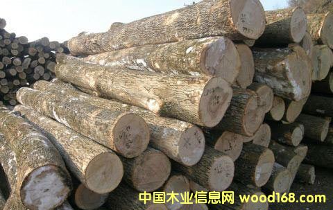 ��ľԭľ��Ԕ����B