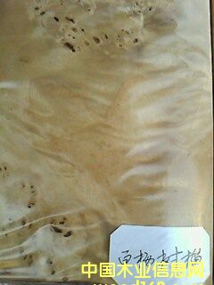 �ח��(sh��)���Ԕ��(x��)��B