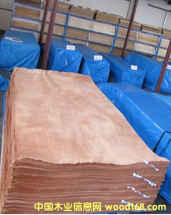 ����ľƤ��Ԕ����B