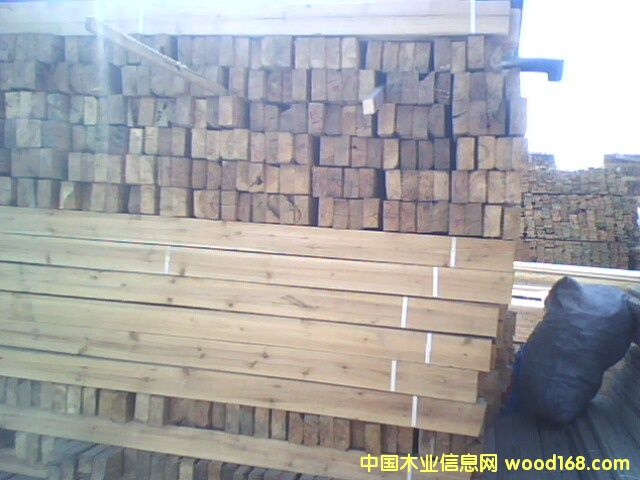 ɼľ����Ԕ��(x��)��B