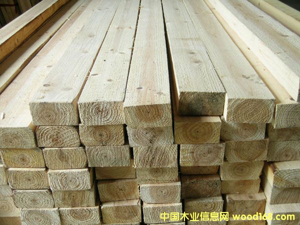 ɼľ����Ԕ��(x��)��B