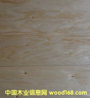 Ƥ�ӵ�Ԕ��(x��)��B