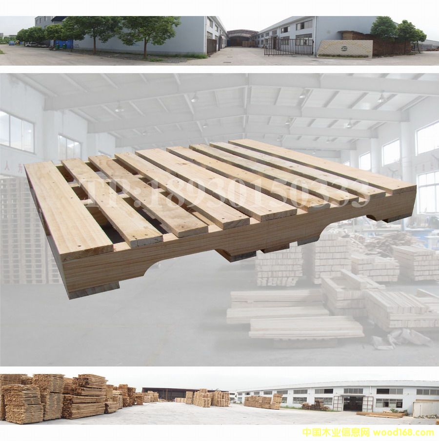 ���ڌ�(sh��)ľ�бP��Ԕ��(x��)��B