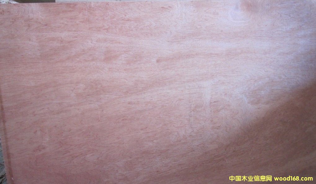 ���b����ľ�z�ϰ����p�N���ǹ�