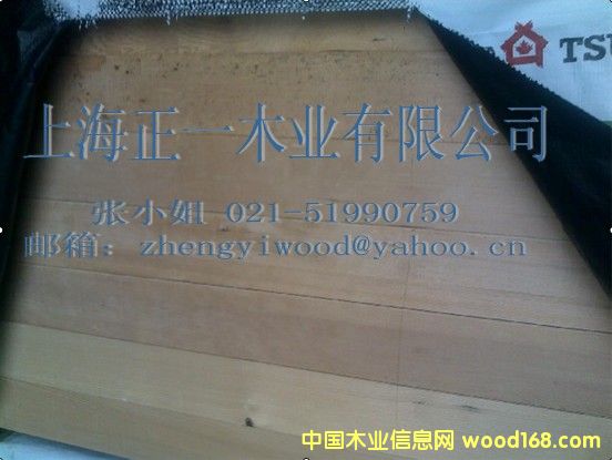 �Fɼ��Ԕ��(x��)��B