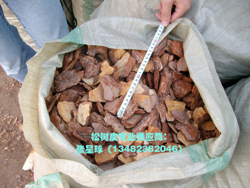 ���^�ر����w�������