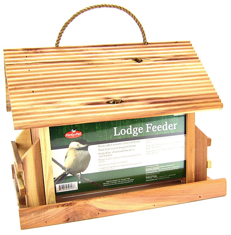 ι�B����Ԕ����B