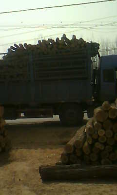 �V�ÿ�ľ��Ԕ����B