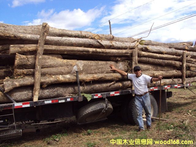 ��˹�_(d��)�����ľ��Ԕ��(x��)��B