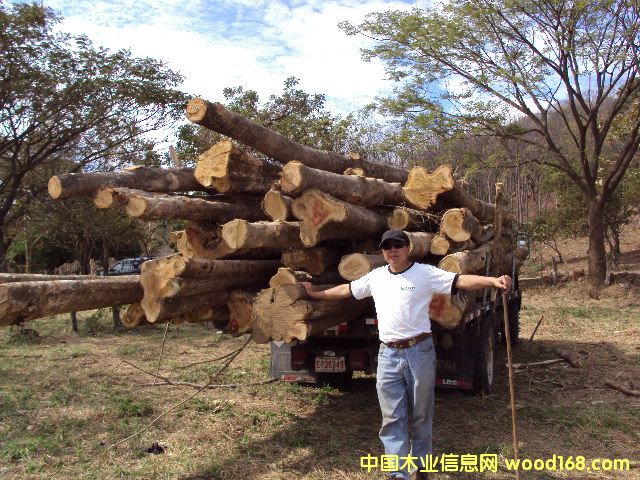 ��ľԭľ��Ԕ��(x��)��B